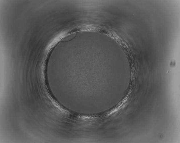 X0000097840341200803141213