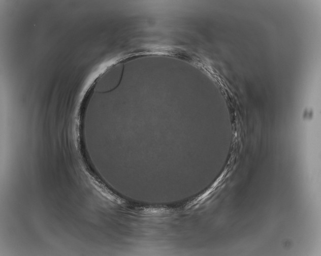 X0000097840342200803141213