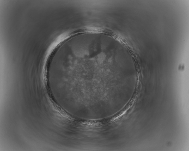 X0000097840343200803141213