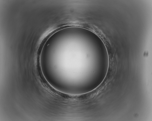 X0000097840344200803141213
