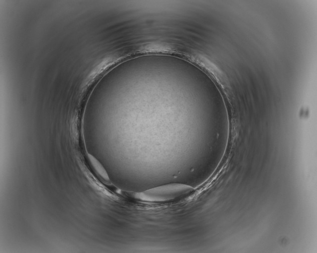 X0000097840345200803141213