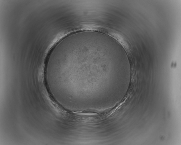 X0000097840346200803141213