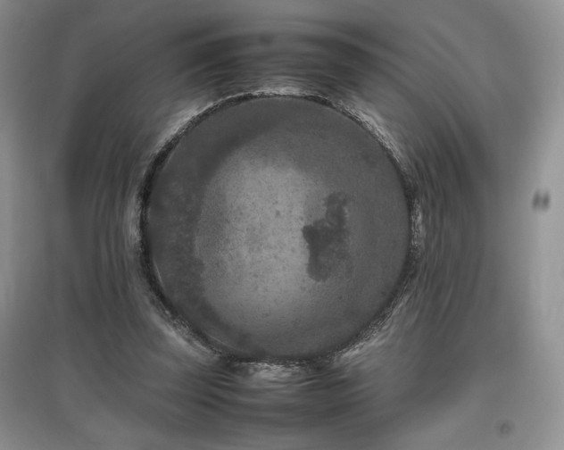 X0000097840347200803141213
