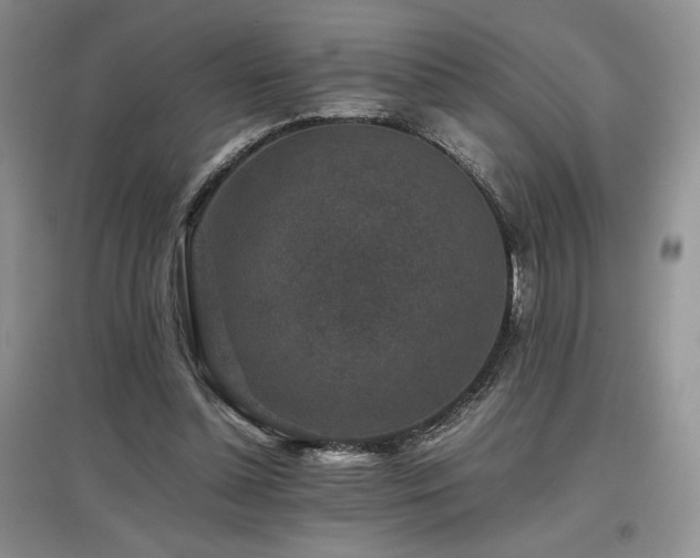X0000097840348200803141213