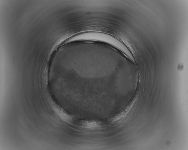 X0000097840349200803141213