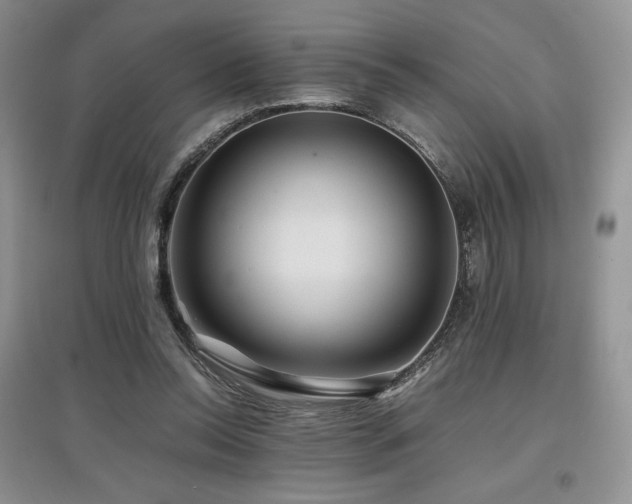 X0000097840350200803141213