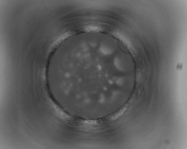 X0000097840353200803141213
