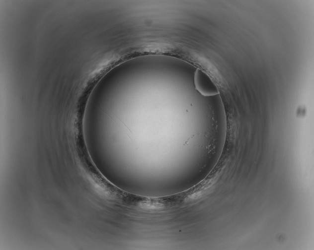 X0000097840354200803141213