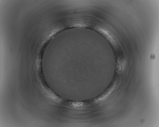 X0000097840355200803141213