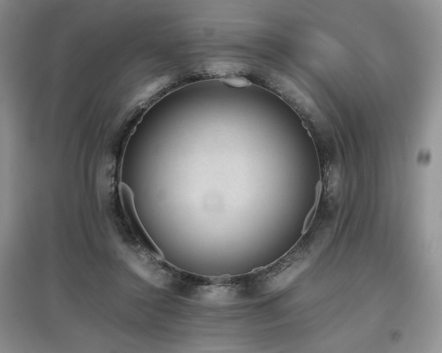 X0000097840356200803141213