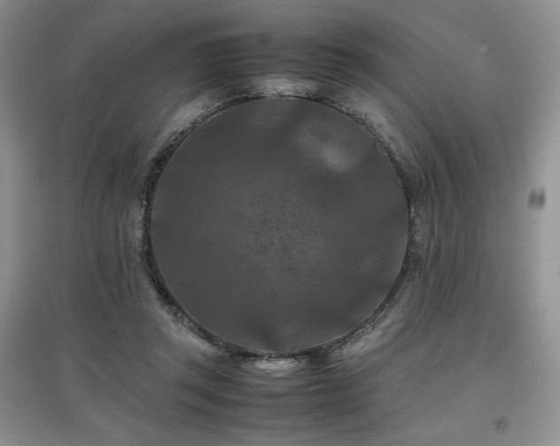 X0000097840357200803141213