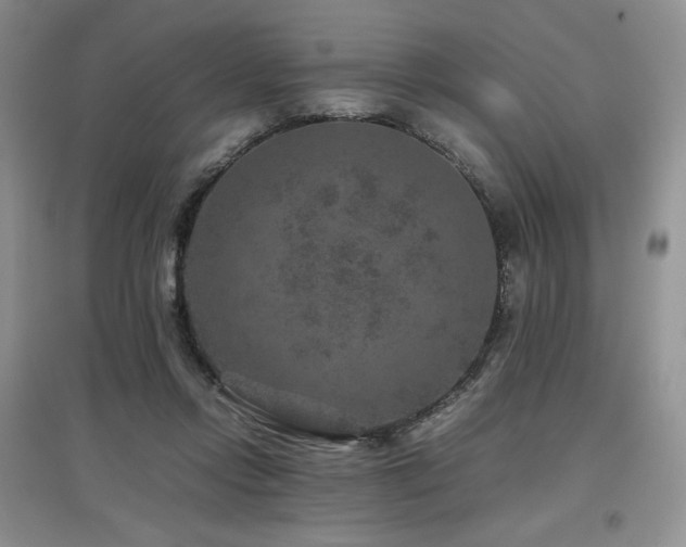 X0000097840358200803141213