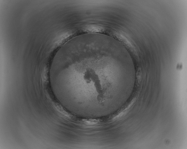 X0000097840359200803141213