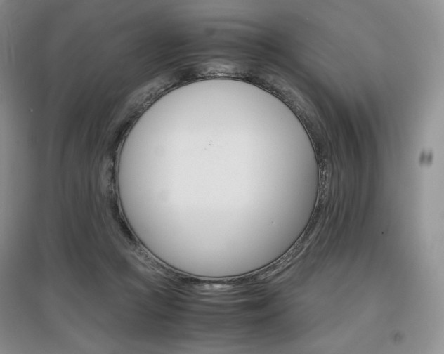 X0000097840361200803141213