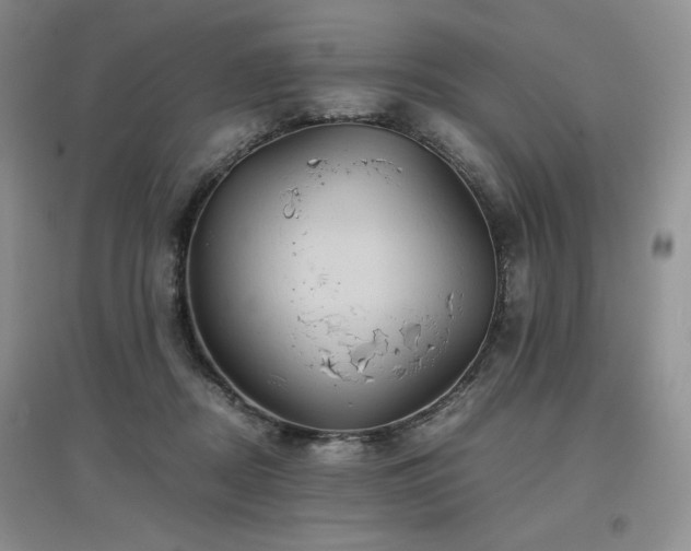 X0000097840362200803141213