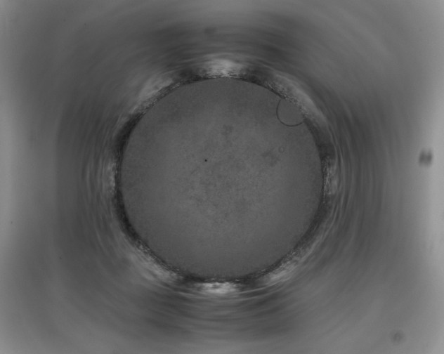 X0000097840363200803141213