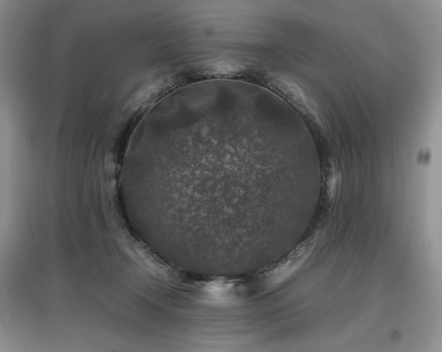 X0000097840366200803141213