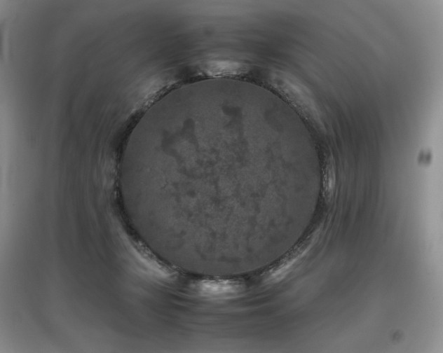 X0000097840367200803141213