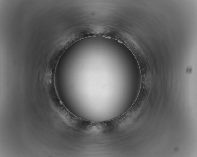 X0000097840368200803141213