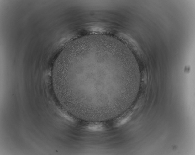 X0000097840369200803141213