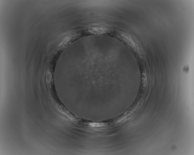 X0000097840371200803141213