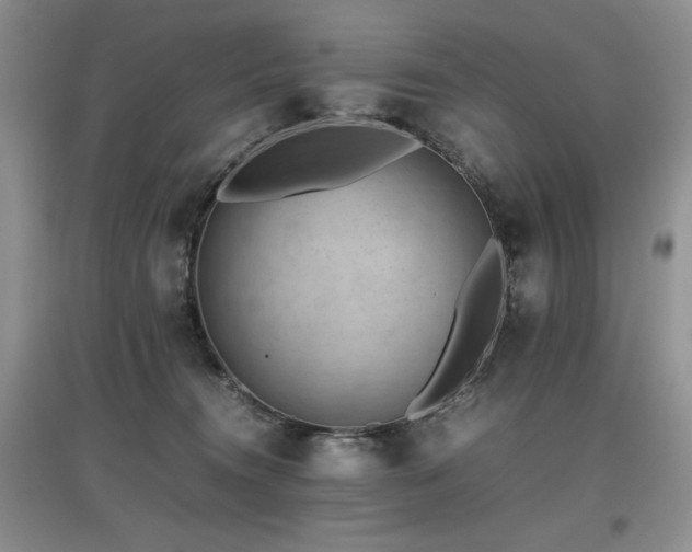 X0000097840372200803141213