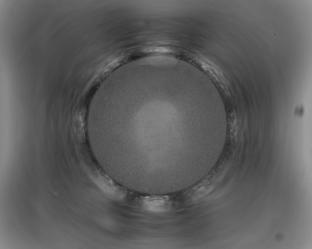 X0000097840373200803141213
