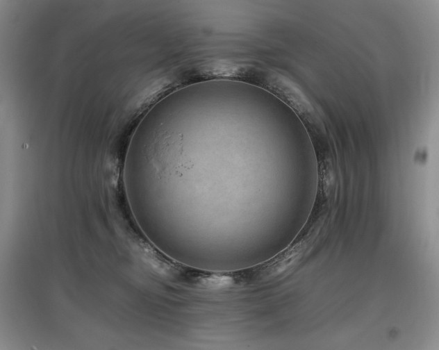 X0000097840374200803141213