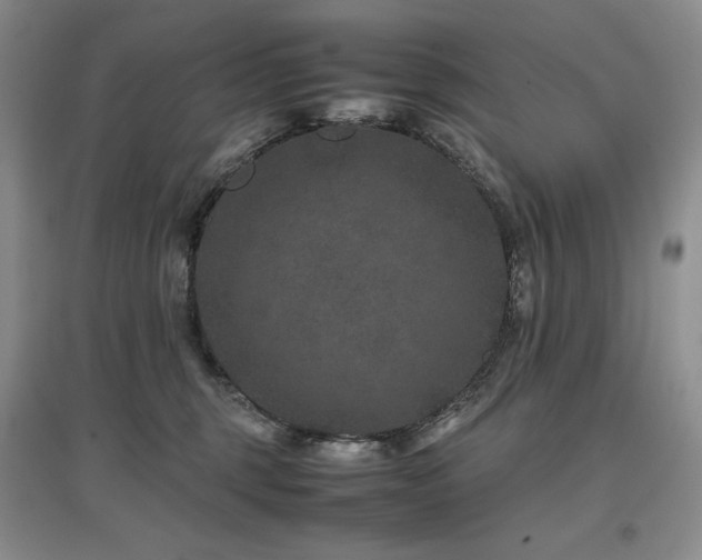X0000097840375200803141213