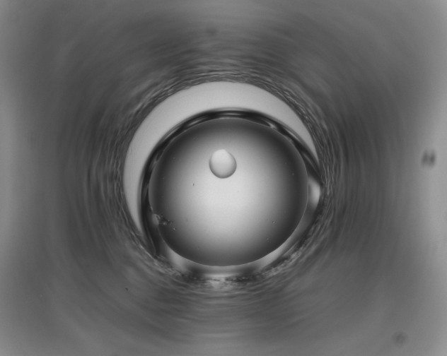 X0000097840376200803141213