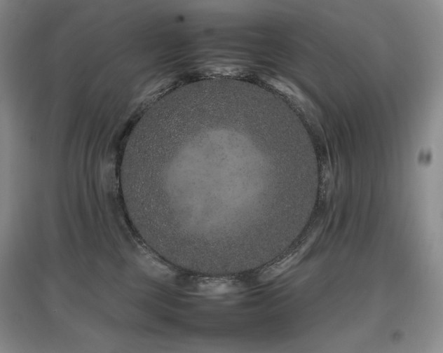 X0000097840377200803141213