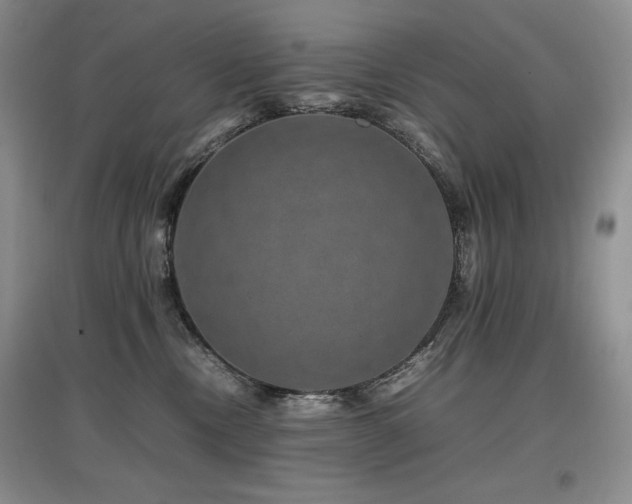 X0000097840378200803141213