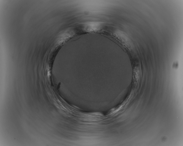 X0000097840380200803141213