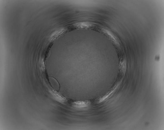 X0000097840381200803141213
