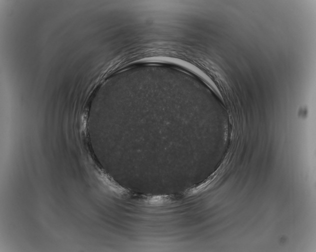 X0000097840382200803141213
