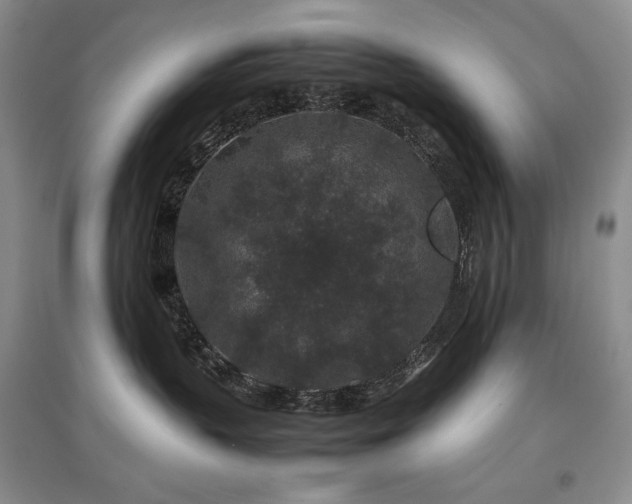 X0000097840383200803141213