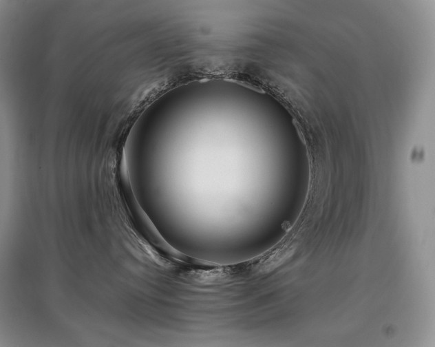 X0000097840384200803141213