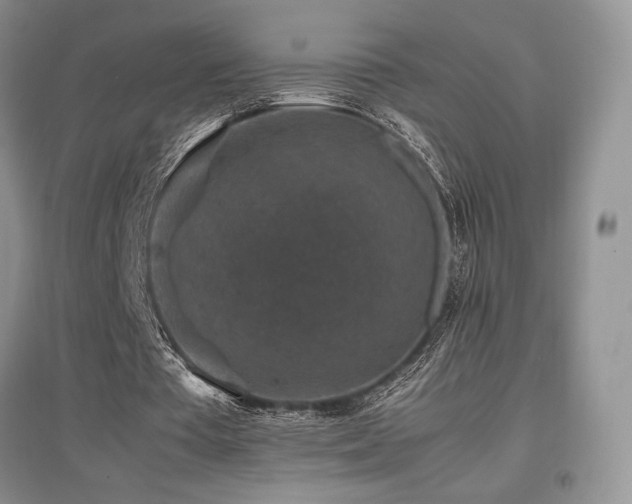 X0000097840385200803141213