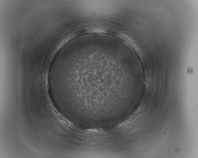 X0000097840386200803141213