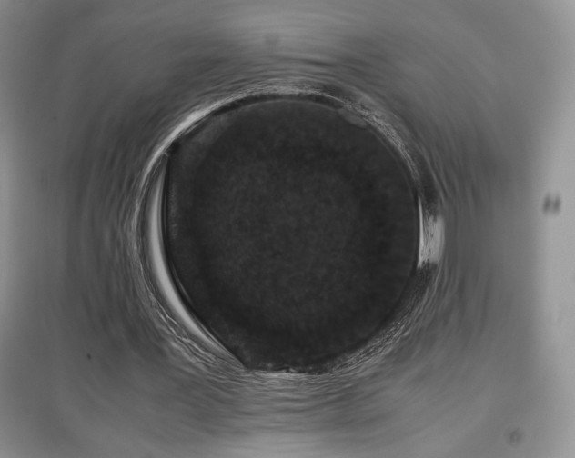 X0000097840387200803141212