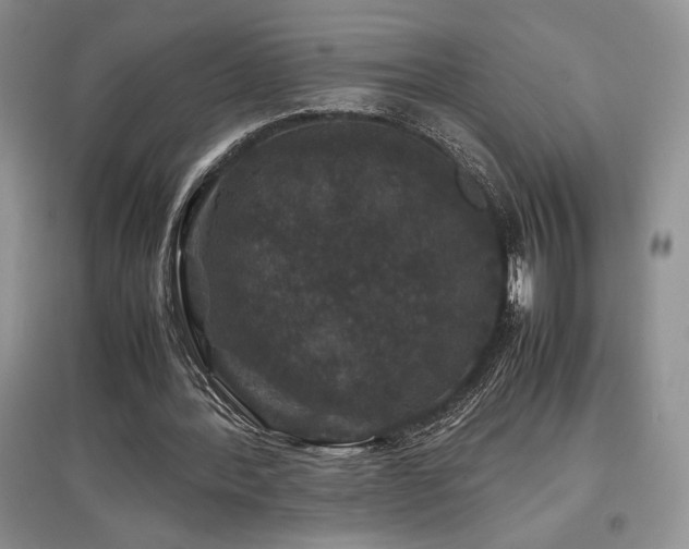 X0000097840388200803141212