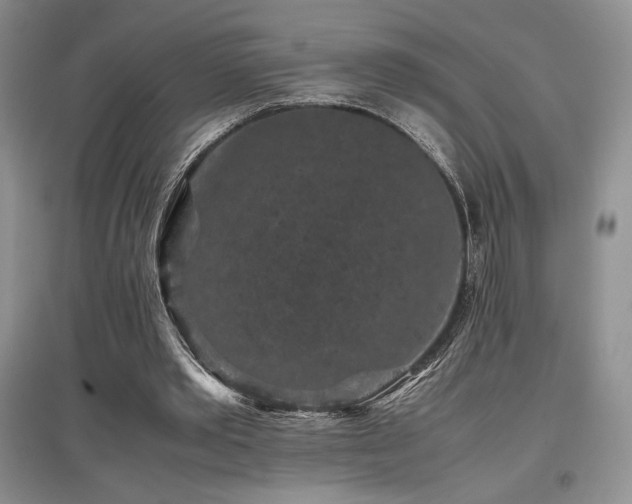 X0000097840389200803141212
