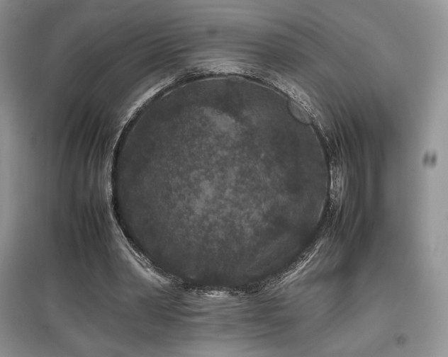 X0000097840390200803141212