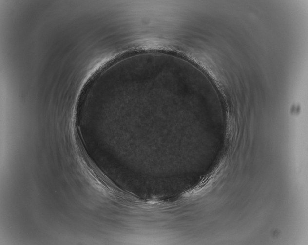X0000097840391200803141212