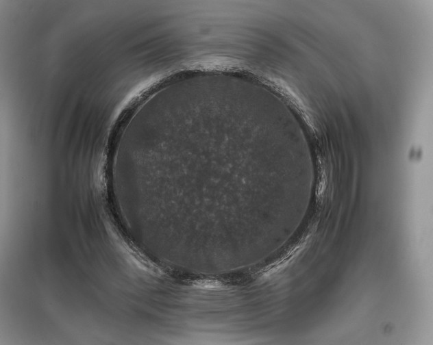 X0000097840392200803141212