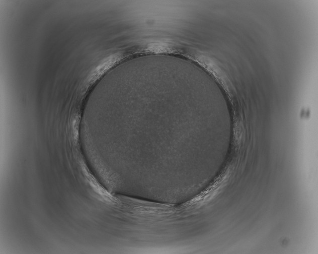 X0000097840393200803141212