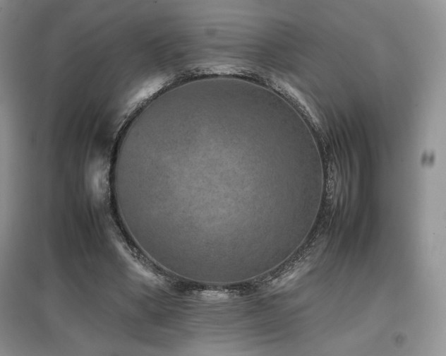 X0000097840394200803141212