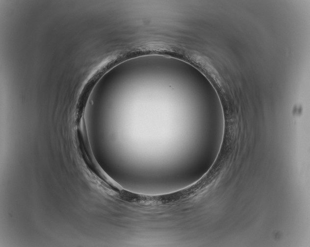 X0000097840395200803141212