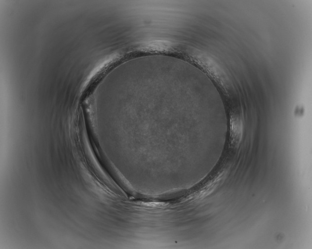 X0000097840396200803141212