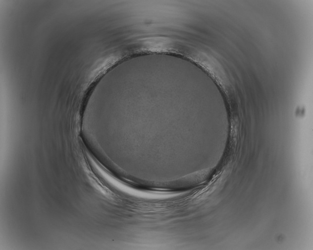 X0000097840397200803141212